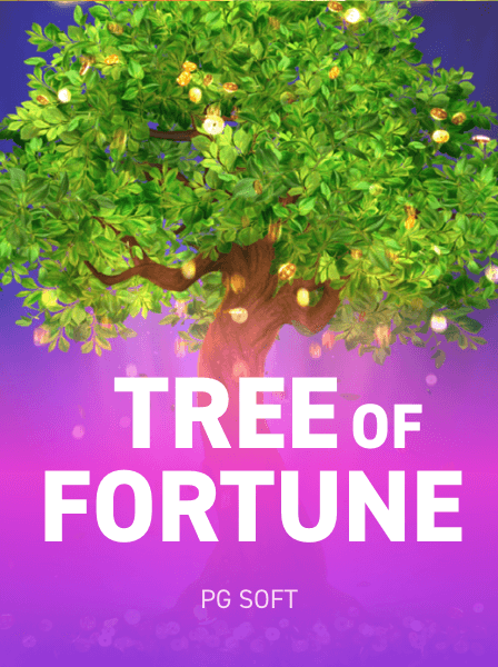 Explore the Top Games Available at MegaWin Casino Today